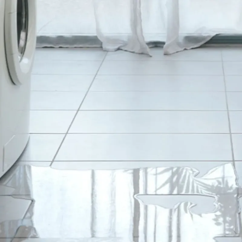 Appliance Leak Cleanup in Mayflower, AR