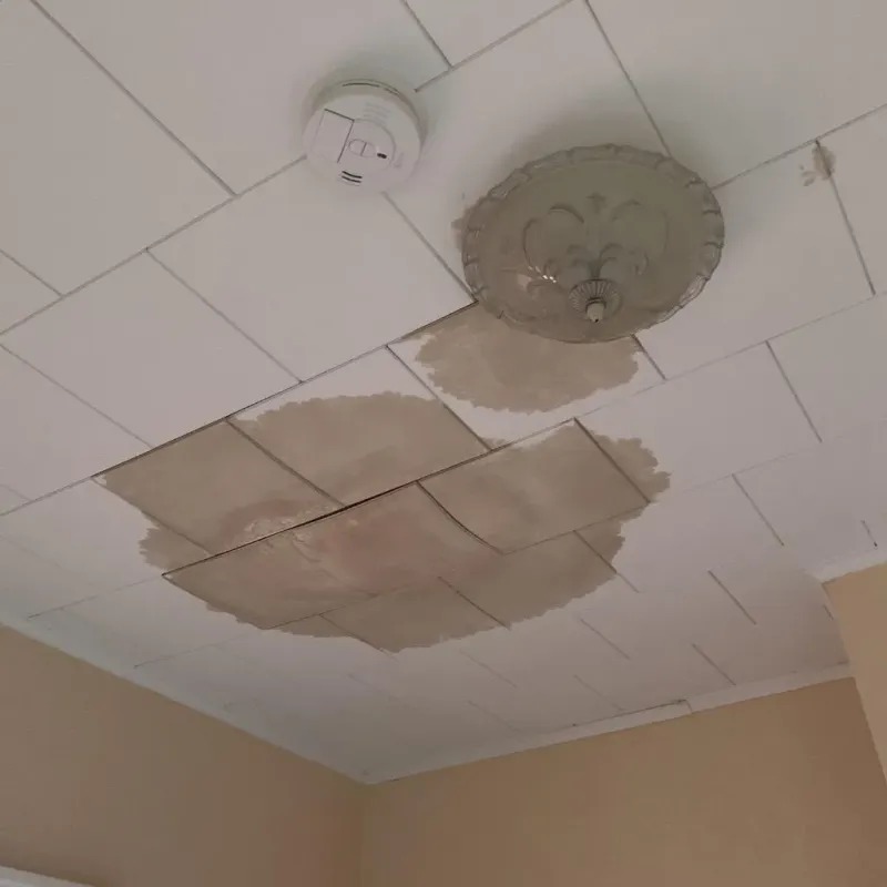 Ceiling Water Damage Repair in Mayflower, AR