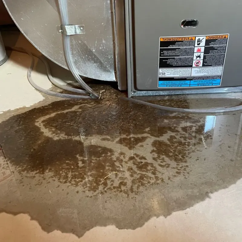 Pipe Burst and Leak Restoration in Mayflower, AR