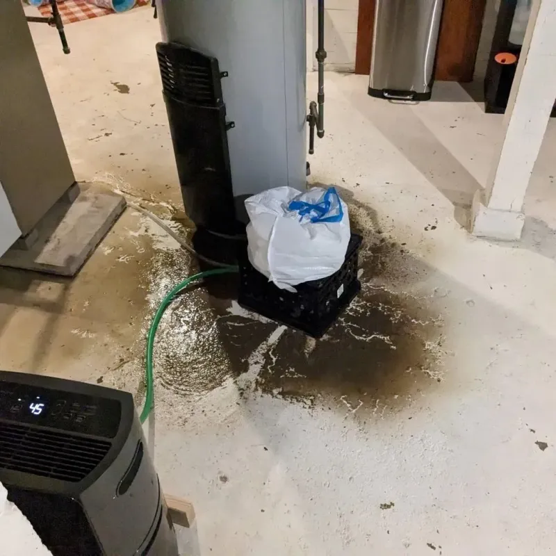 Sewage Backup Cleanup Service in Mayflower, AR